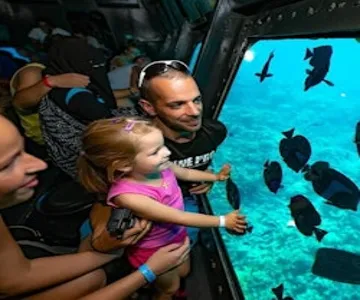 Hurghada: Semi-Submarine Tour + Snorkeling + Transfer